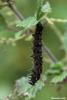 110307 – Photo : Sébastien Cally – France (09)
