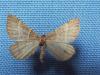 110032 – Photo : Pierre Cabrol – France (09)
