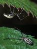 110076 – Photo : Christophe Quintin – France (21)