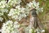 110853 – Photo : Patrick Le Mao – France (22)