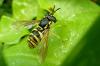 110613 – Photo : Patrick Le Mao – France (22)