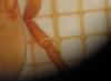 110951 – Photo : Alexanor – France (46)