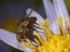 110458 – Photo : Michel Mathieu – France (14)