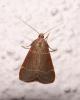 110781 – Photo : Arnaud Jean-Pierre – France (09)
