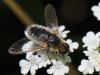 110579 – Photo : Prisca – France (13)