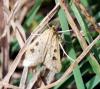 110333 – Photo : Patrick Decreus – Espagne