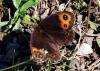 110279 – Photo : Patrick Decreus – Espagne