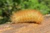 110651 – Photo : Wayl – France (04)