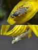110029 – Photo : Christophe Quintin – France (21)