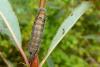110495 – Photo : Patrick Le Mao – France (22)