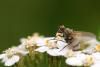 110484 – Photo : Quentin Dubost – France (75)