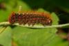 110099 – Photo : Pierre Gros – France (06)