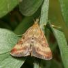 110083 – Photo : Pierre Gros – France (06)
