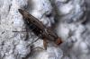 110800 – Photo : Christophe Quintin – France (21)