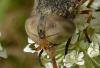 110895 – Photo : Patrick Le Mao – France (22)