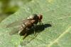 110407 – Photo : Patrick Le Mao – France (22)