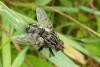110606 – Photo : Patrick Le Mao – France (22)