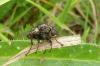 110607 – Photo : Patrick Le Mao – France (22)