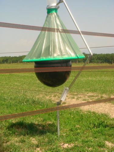 Thermique pour taons