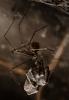 111081 – Photo : Michel Couprie – France (24)