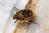 111009 – Photo : Nicolas Alric – France (12)