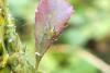 111007 – Photo : Nicolas Alric – France (12)