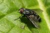 111224 – Photo : Patrick Le Mao – France (22)