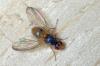 111045 – Photo : Christophe Quintin – France (21)
