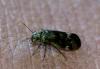 111131 – Photo : Edith Konik – France (32)