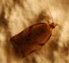 111269 – Photo : Patrick Decreus – Espagne