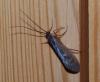 111022 – Photo : Patrick Decreus – Espagne