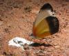 111274 – Photo : Alain BLED – Burkina Faso