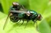 111413 – Photo : Patrick Le Mao – France (22)