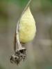 111708 – Photo : Stephane FERNANDES – France (30)