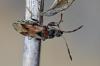 111204 – Photo : Christophe Quintin – France (21)