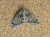 111113 – Photo : Jc.grandmaire – France (05)