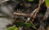 112489 – Photo : Duborget Robin – France (20)