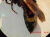 112063 – Photo : Rommena – Tunisie