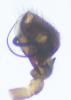 112414 – Photo : roy – France (85)