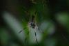 112124 – Photo : Jean-Claude Jamoulle – Seychelles