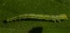 112028 – Photo : Pelouard – France (13)