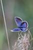 112460 – Photo : Bey Frederique – France (54)