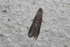 112023 – Photo : alain Roujas – France (31)