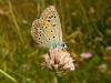 112009 – Photo : Sylvain Fadda – France (04)