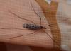 112022 – Photo : Sylvie Berthe – France (28)