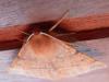 112032 – Photo : Bobabar – France (95)