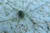 112020 – Photo : Patrick Le Mao – France (22)