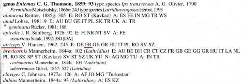 Réf. 113 063 : Enicmus sp.
