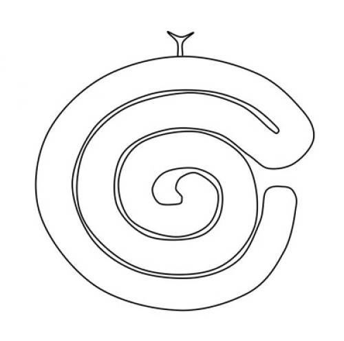 Micridium halidaii