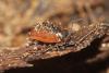 113651 – Photo : Duborget Robin – France (20)